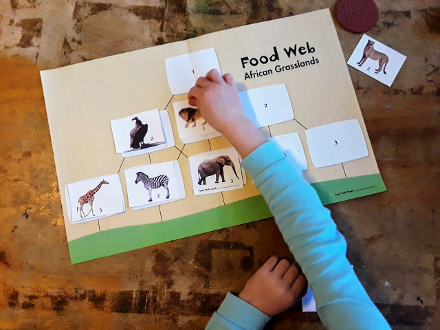 Preschool: Safari Food Fun