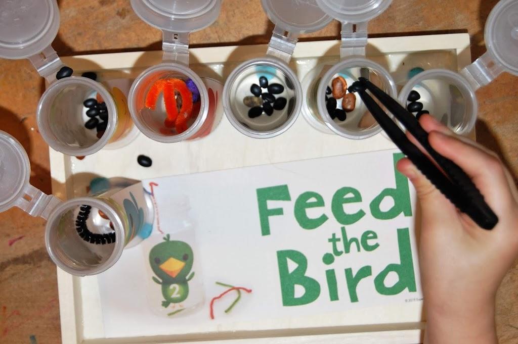 Bird Activities for Little Learners
