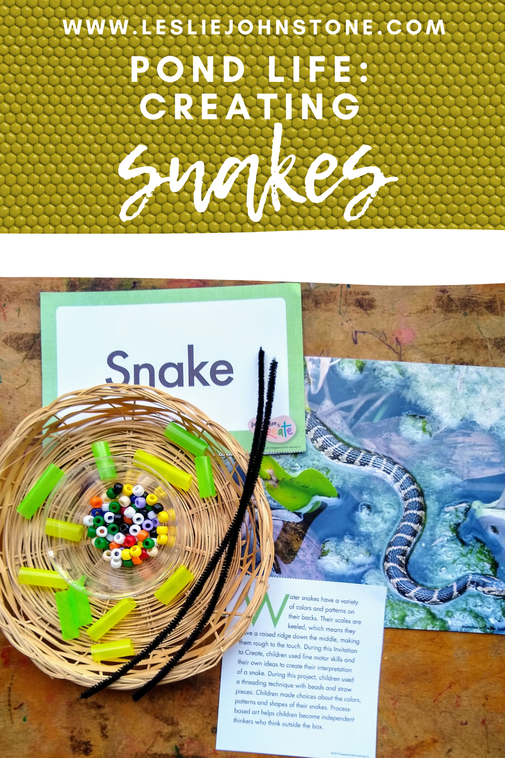 Pond Life: Creating Snakes