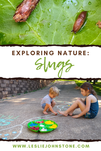 Exploring Nature: Slugs