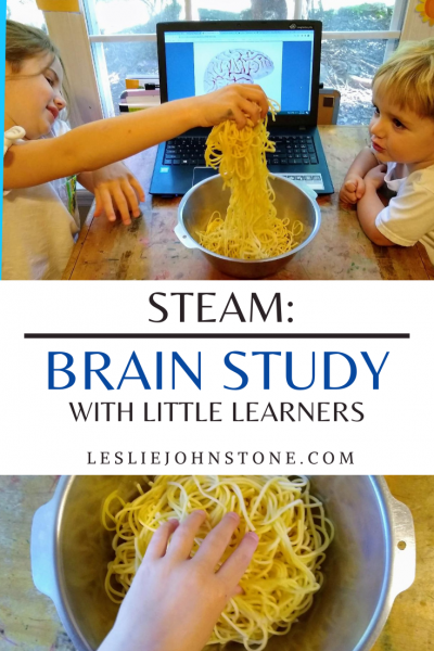STEAM: Brain Study with Little Learners