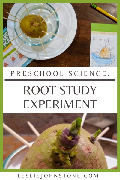 Preschool Science: Root Study Experiment