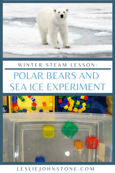 STEAM: Polar Bears and Sea Ice