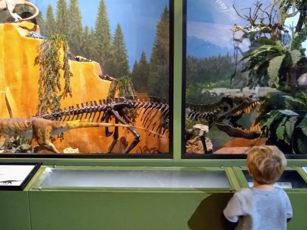 Field Trip: Dinosaur Museum