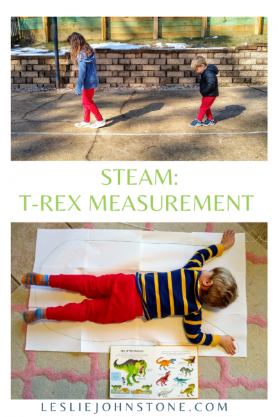 STEAM: T- Rex Measurement