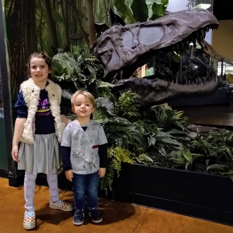 virtual field trip dinosaur museum