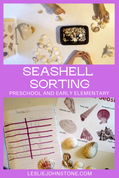 Seashell Sorting