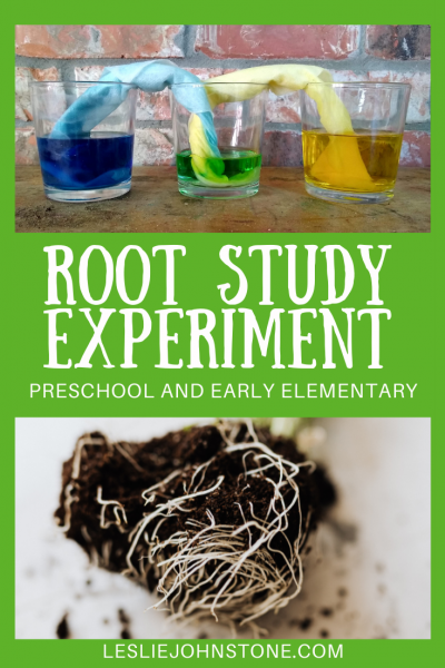 Root Study Experiment
