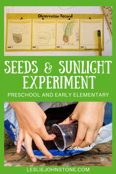 Growing Grass: A Sunlight Experiment