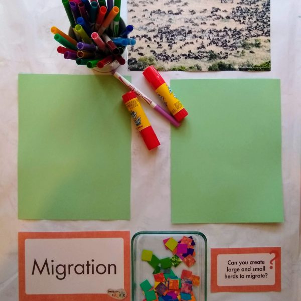 Migration Inspired Art